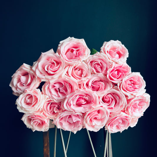 Rose Bouquets